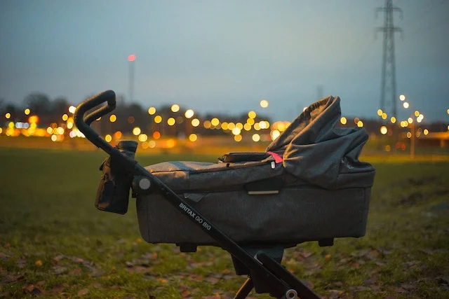 How to Choose the Best Baby Stroller