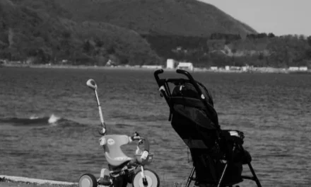 Discover the Ultimate Best Stroller for Beach