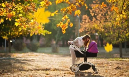 Adventure-Ready: Our Expert Guide to the Best All Terrain Stroller